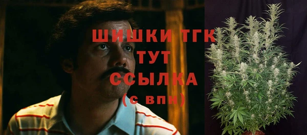 твердый Армянск