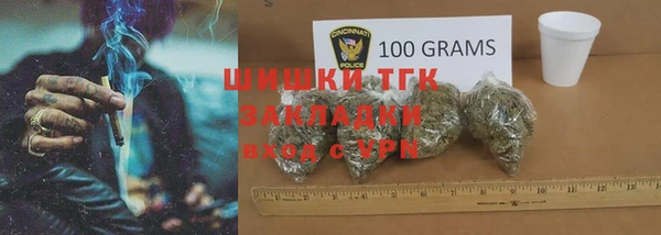прущие грибы Аркадак