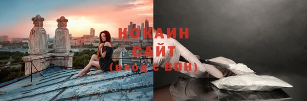 прущие грибы Аркадак