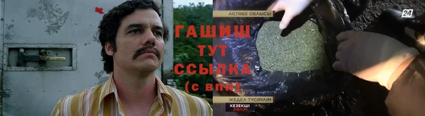 прущие грибы Аркадак
