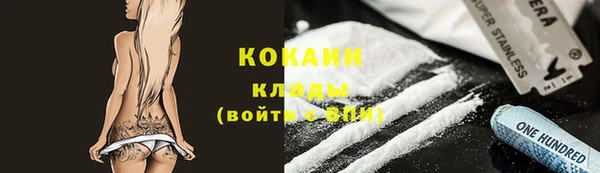 прущие грибы Аркадак