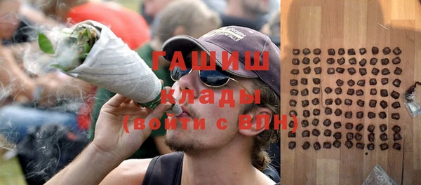 прущие грибы Аркадак