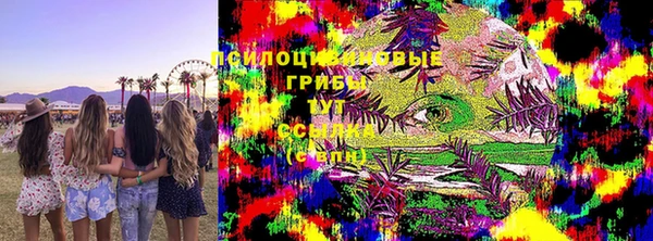 прущие грибы Аркадак